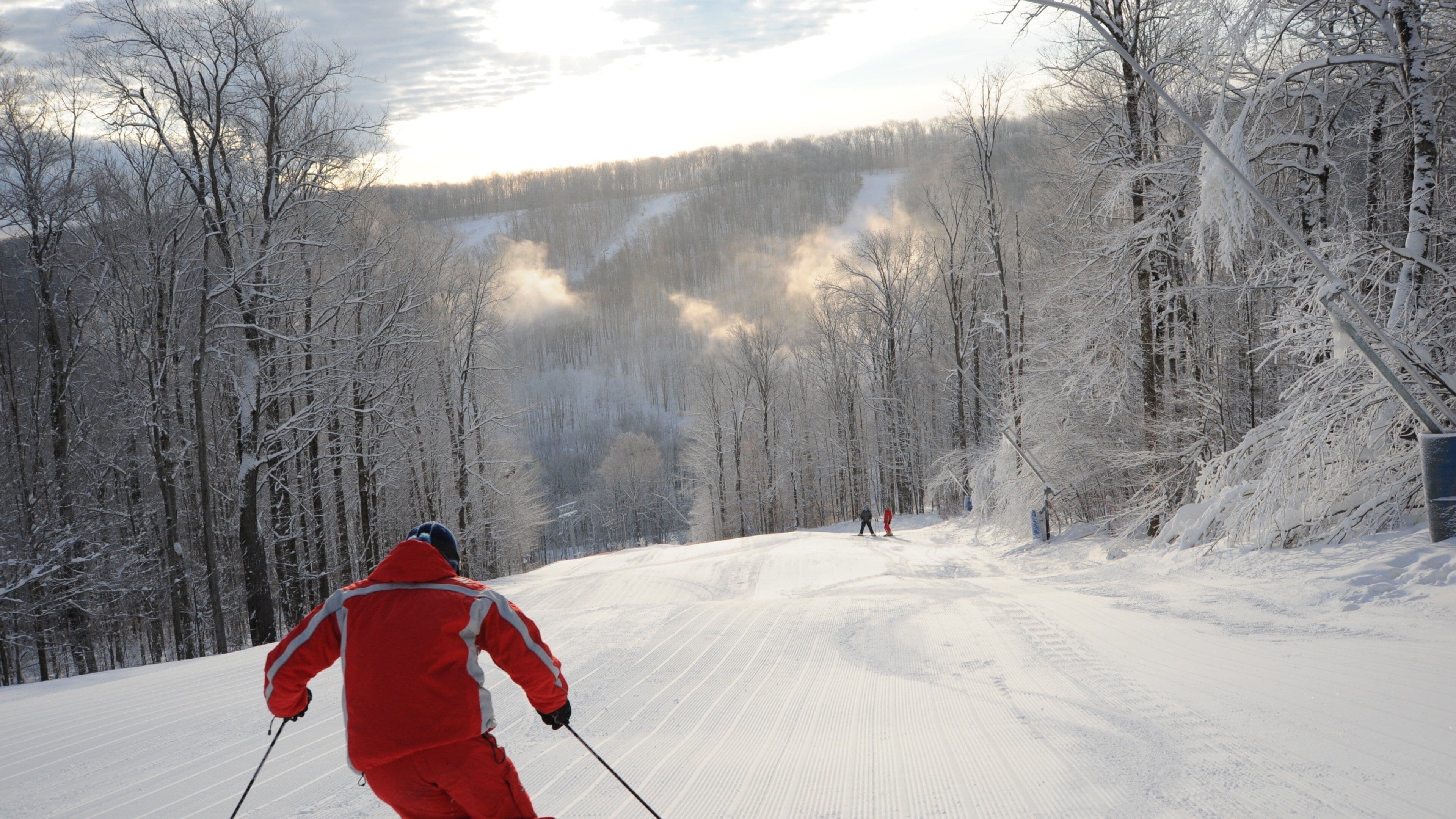A snowy forest with a skier in red.