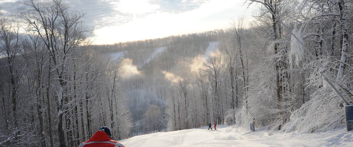 A snowy forest with a skier in red.
