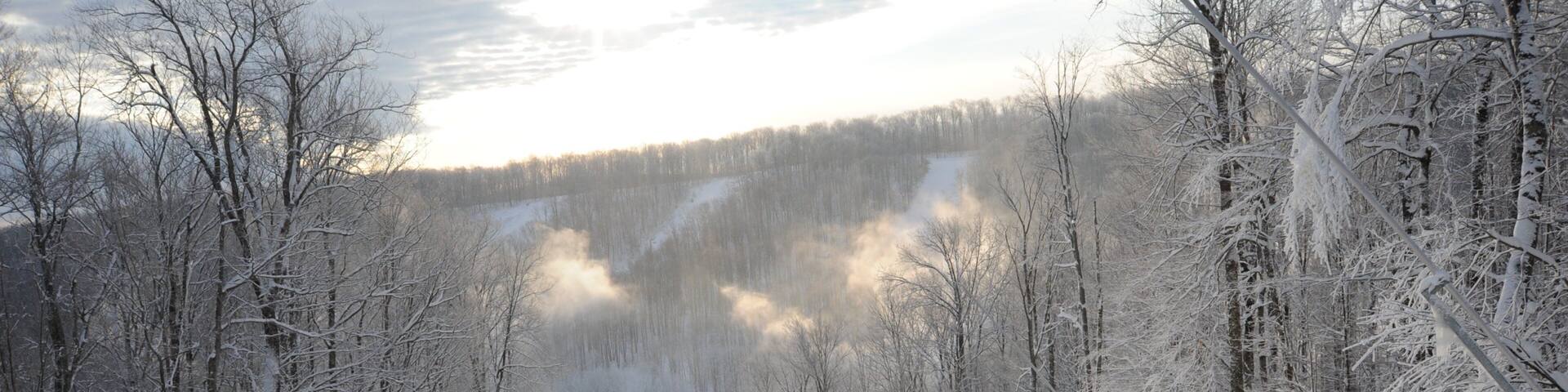A snowy forest with a skier in red.