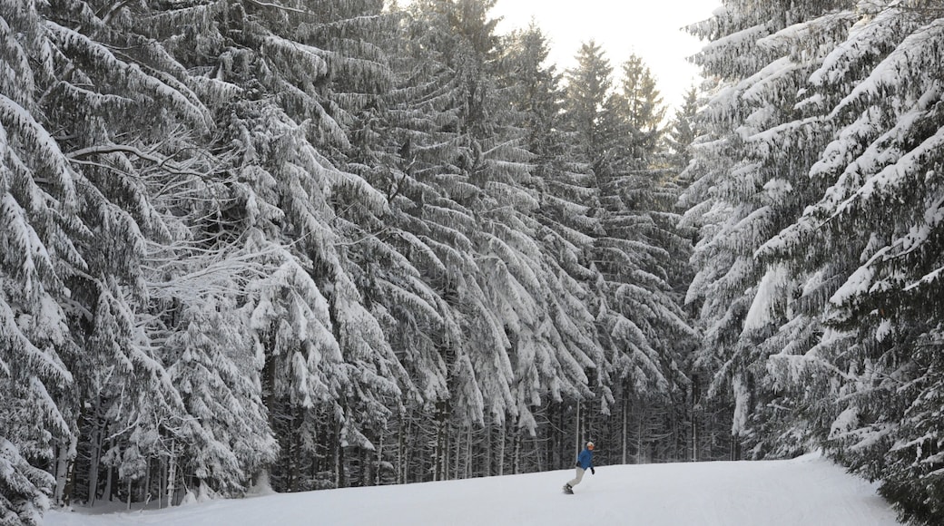 Holiday Valley Resort featuring snow, snow boarding and forests