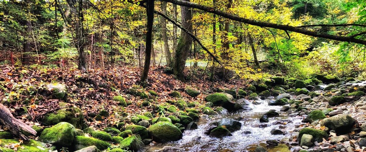 Besides (not-so) still waters.
The brook in the ravine of Martyrs’ Shrine. Somewhere, in the fields, the bones of two great martyrs are buried.