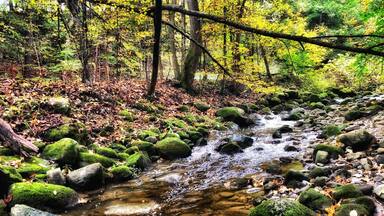 Besides (not-so) still waters.
The brook in the ravine of Martyrs’ Shrine. Somewhere, in the fields, the bones of two great martyrs are buried.