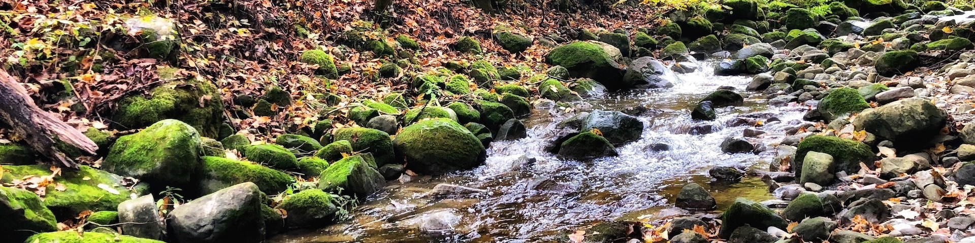 Besides (not-so) still waters.
The brook in the ravine of Martyrs’ Shrine. Somewhere, in the fields, the bones of two great martyrs are buried.