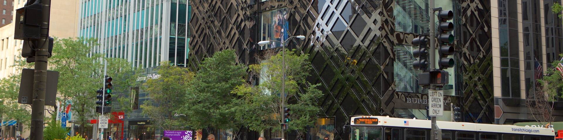 Shops at North Bridge showing a city, central business district and street scenes