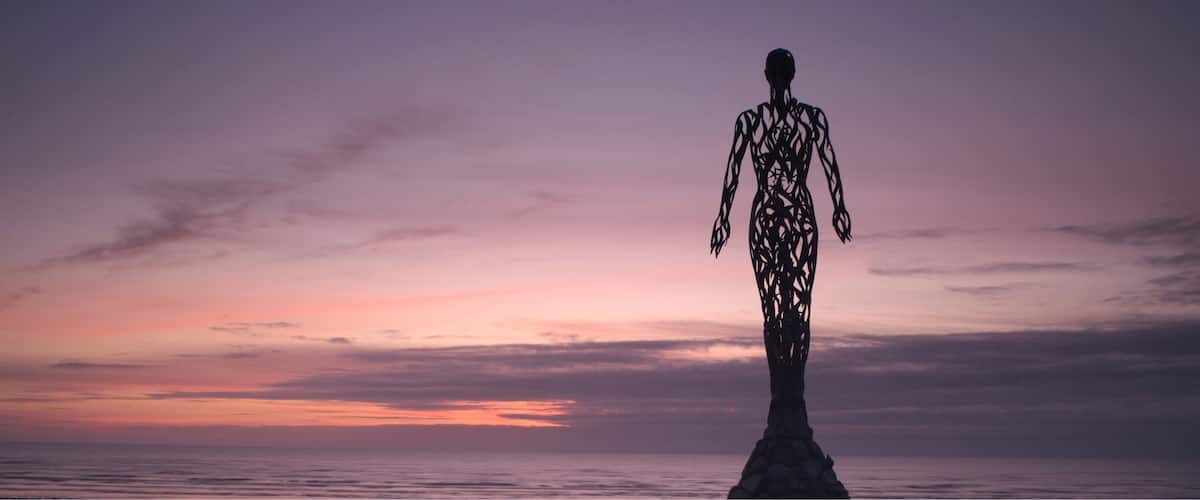 A silhouette of a human figure against a sunset sky.