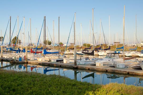 Coyote Point Park featuring a bay or harbour and sailing