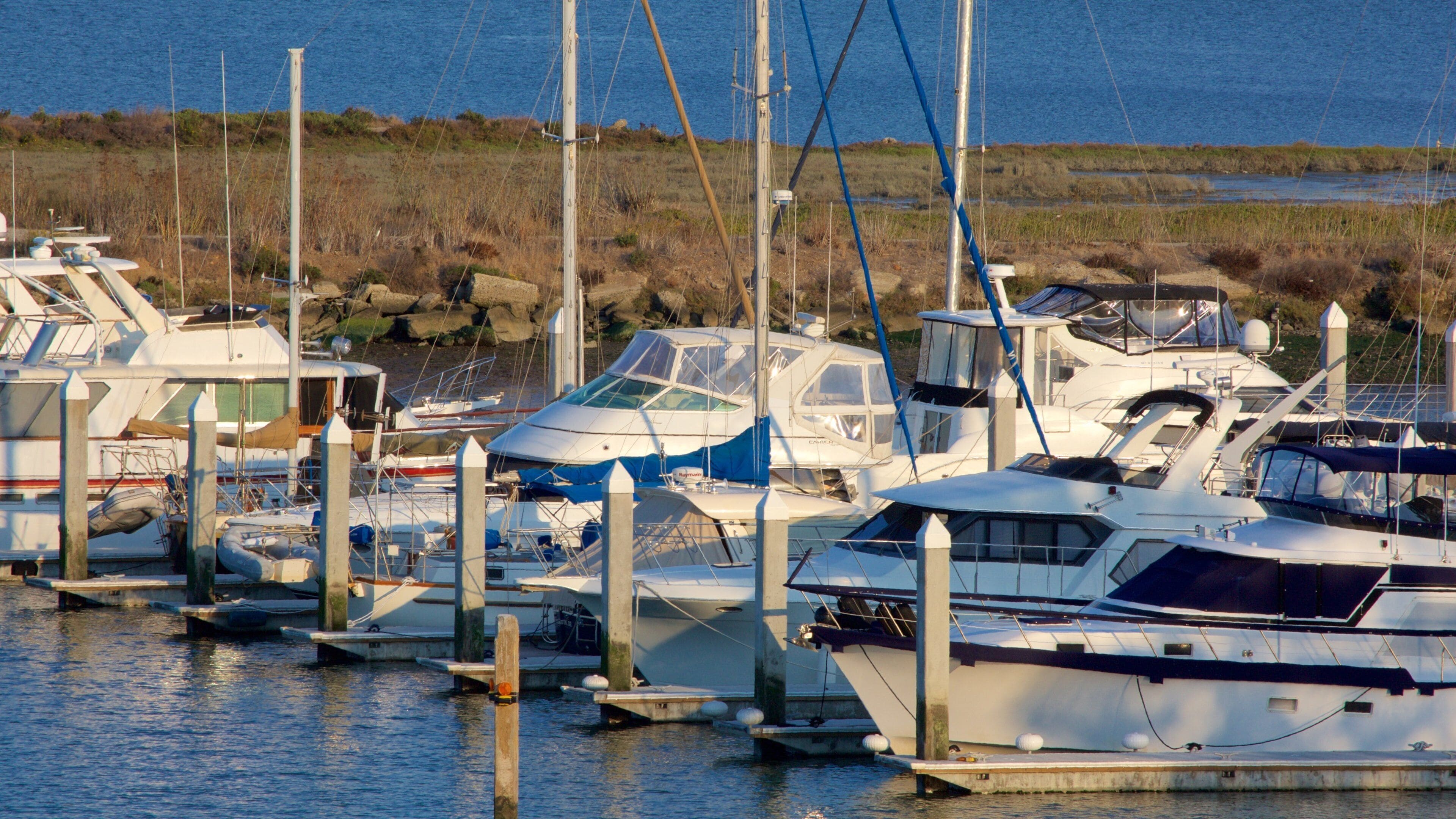 Coyote Point Park som visar en hamn eller havsbukt