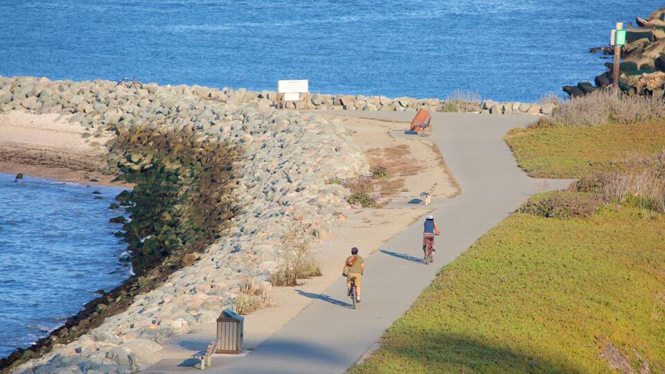 Coyote Point Park caracterizando ciclismo assim como um pequeno grupo de pessoas