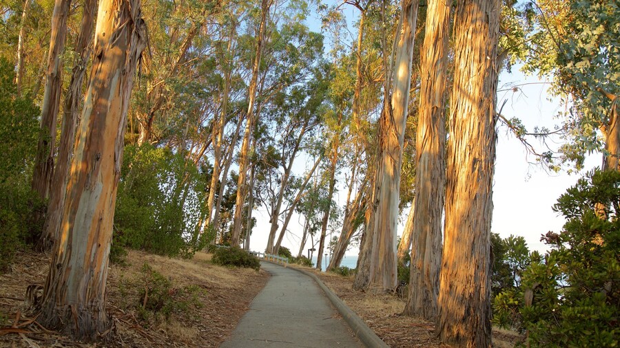 Coyote Point Park which includes a park