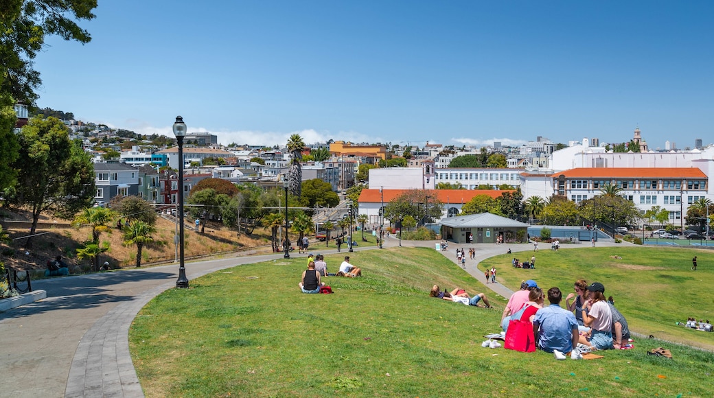 Mission Dolores Park showing picnicing and a park as well as a small group of people