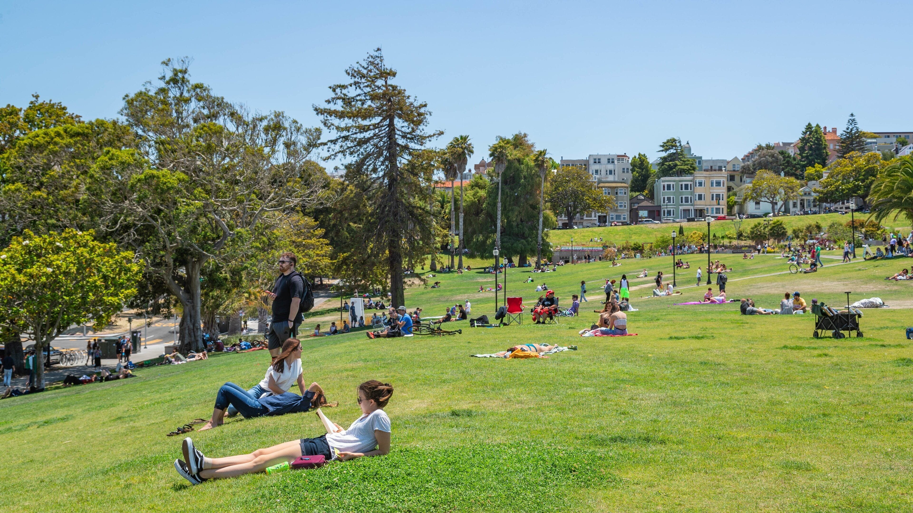Mission Dolores Park featuring picnicing and a garden