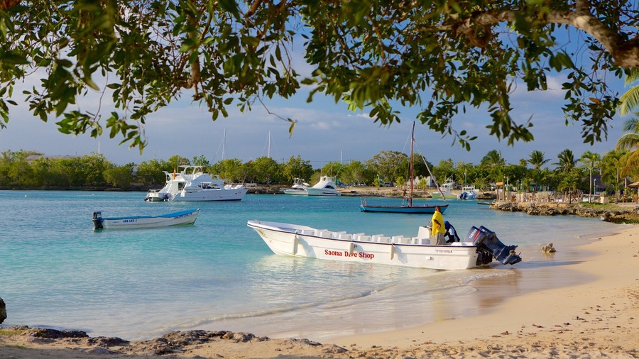 Bayahibe Beach which includes a beach and a bay or harbour
