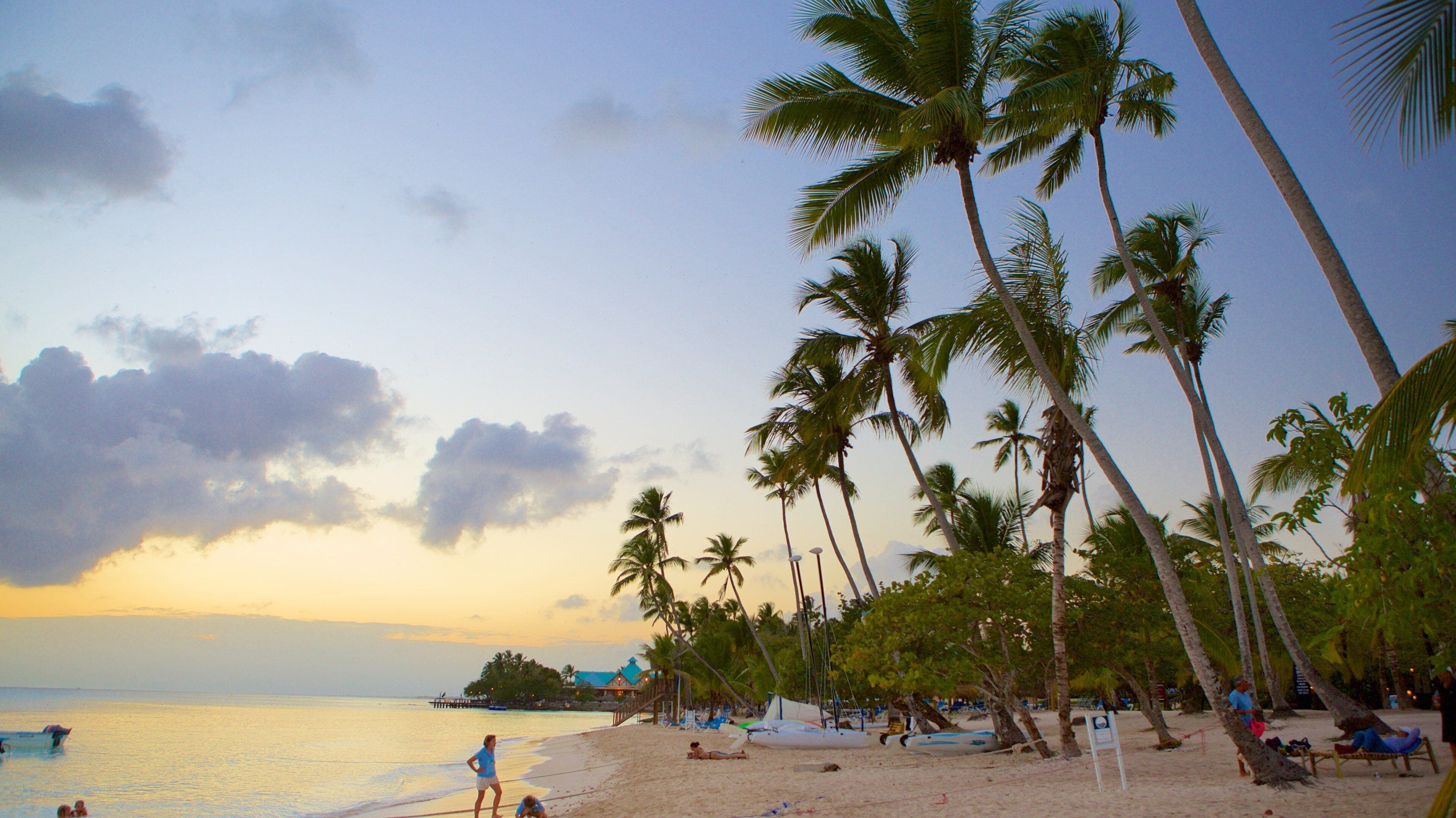 Bayahibe Beach showing a sunset, tropical scenes and a sandy beach