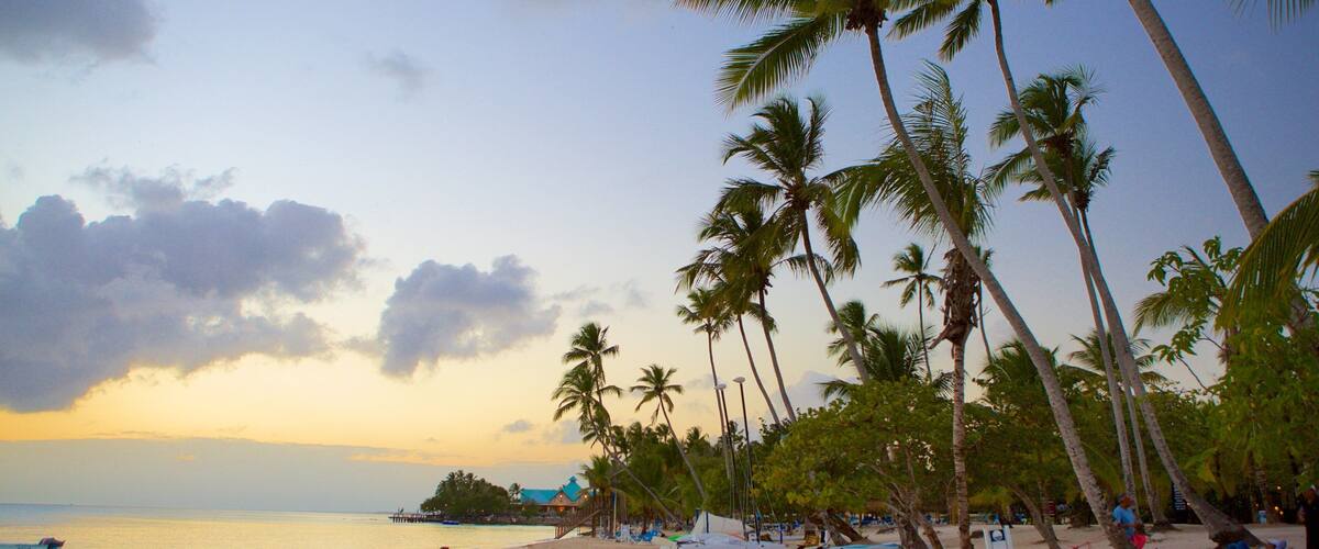 Bayahibe Beach showing a sunset, tropical scenes and a sandy beach