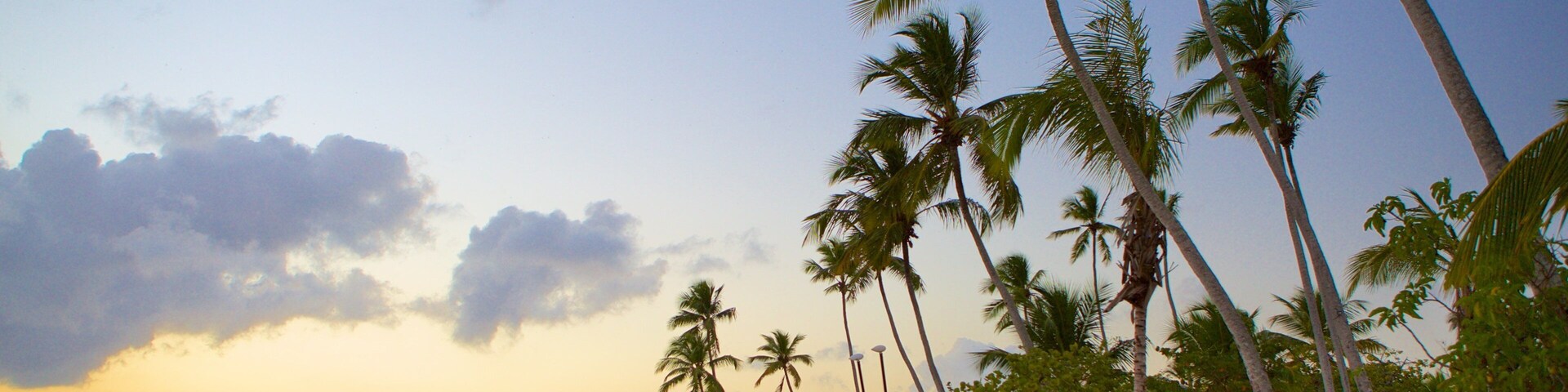 Bayahibe Beach showing a sunset, tropical scenes and a sandy beach