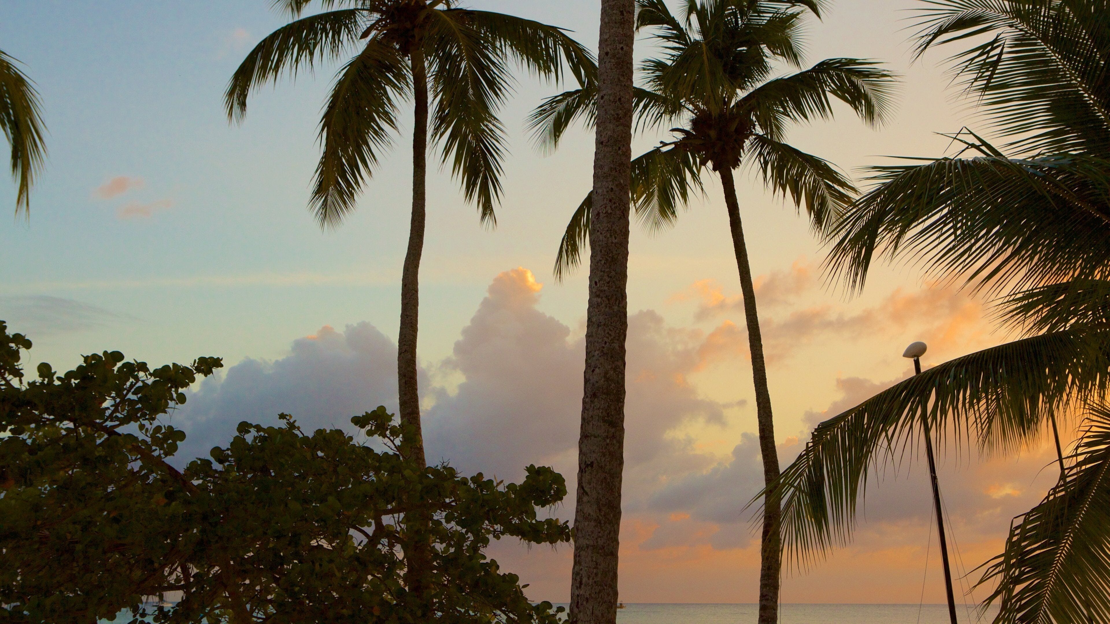 Bayahibe Beach showing a sunset and tropical scenes