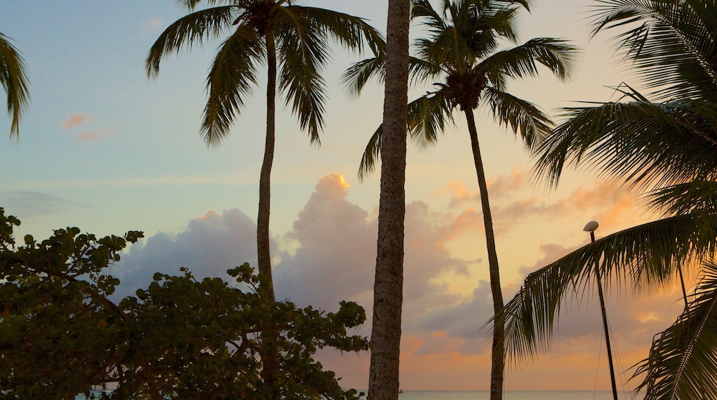 Bayahibe Beach showing a sunset and tropical scenes