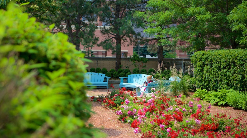 Mississauga Civic Centre which includes a garden and flowers