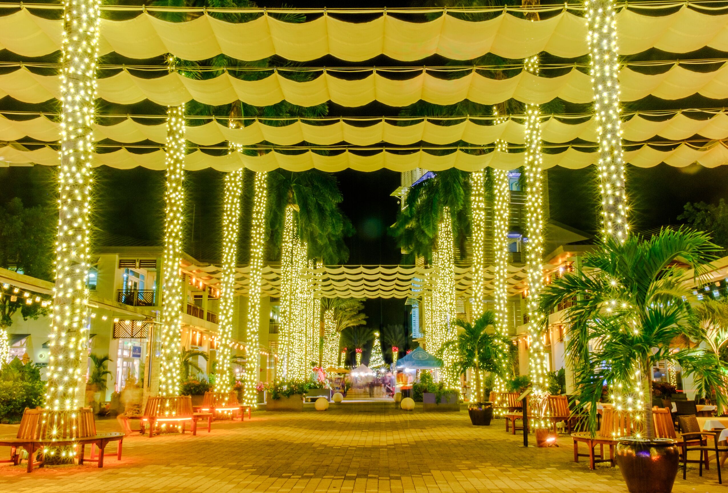 Grand Cayman, Cayman islands, Christmas lighting on The Paseo in Camana Bay a modern waterfront town in the Caribbean