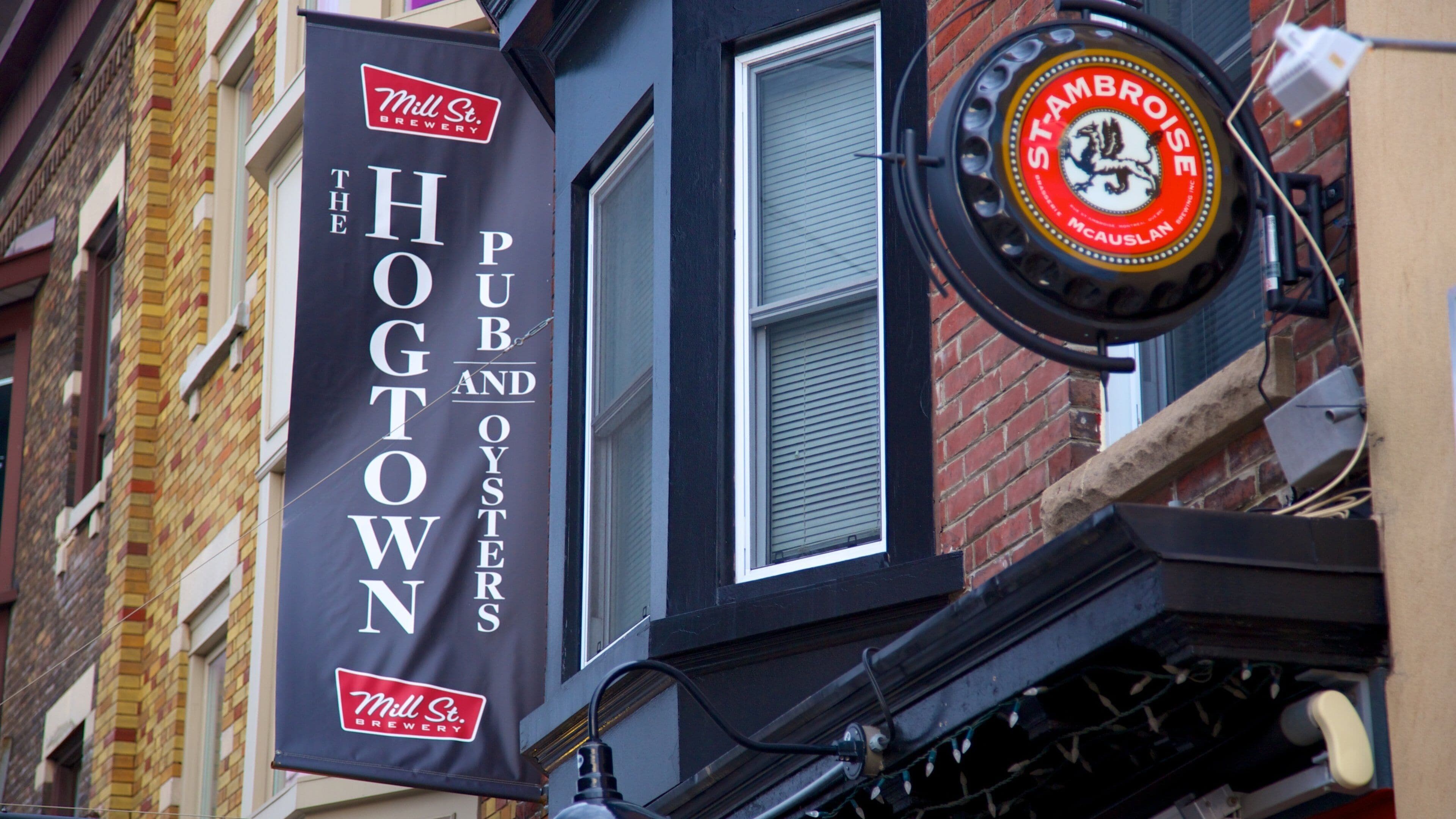Little Italy showing a bar and signage