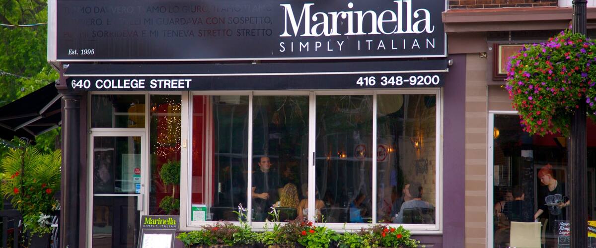 Little Italy which includes a city, signage and cafe lifestyle
