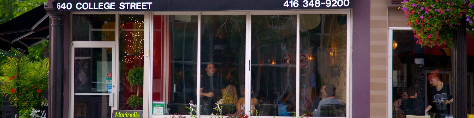 Little Italy which includes a city, signage and cafe lifestyle