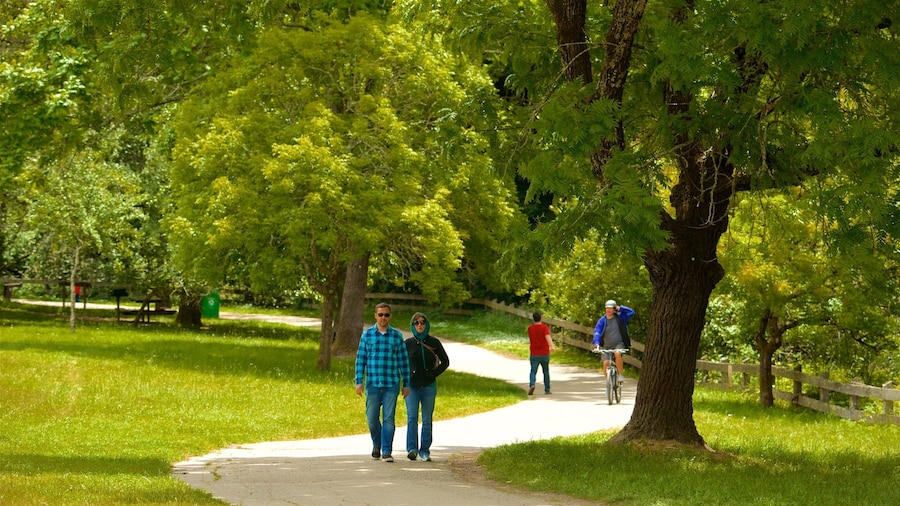 Redwood Regional Park