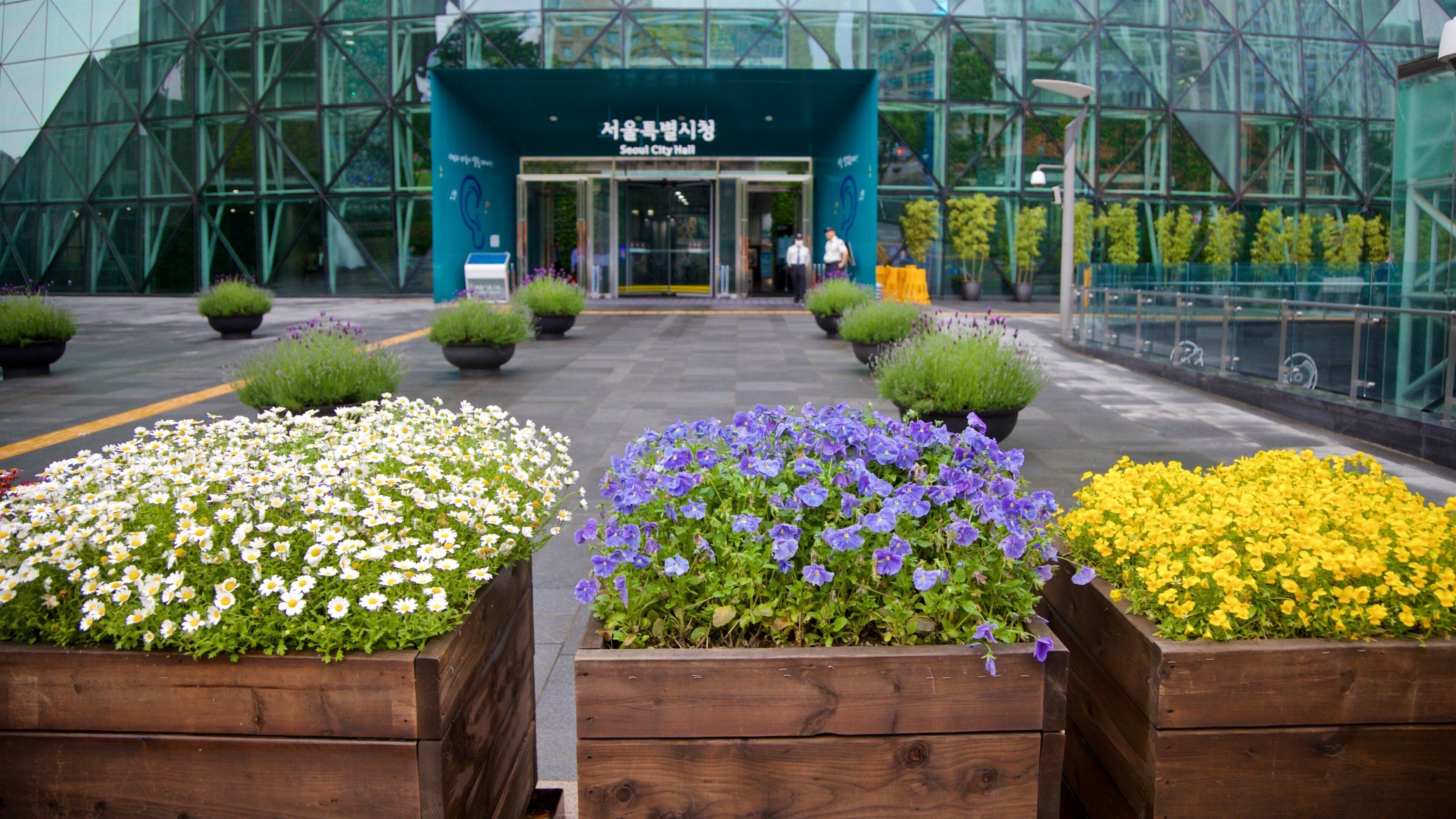 Seoul City Hall which includes flowers