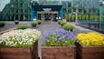 A modern building with glass facades, surrounded by flower beds with white, purple, and yellow flowers.