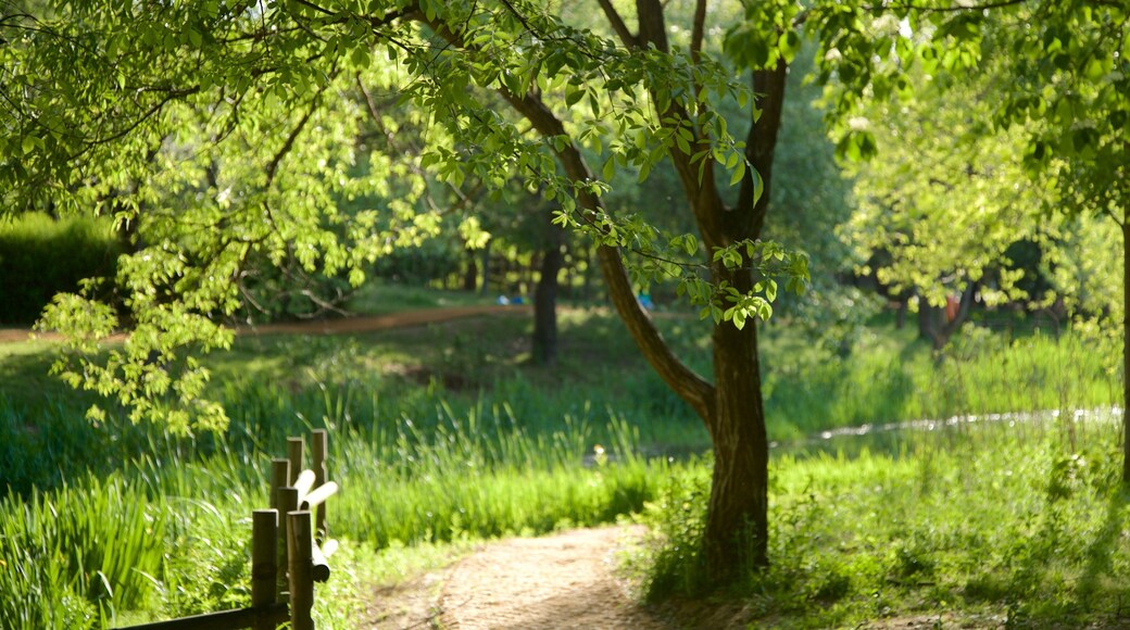 Fort de Séoul mettant en vedette jardin