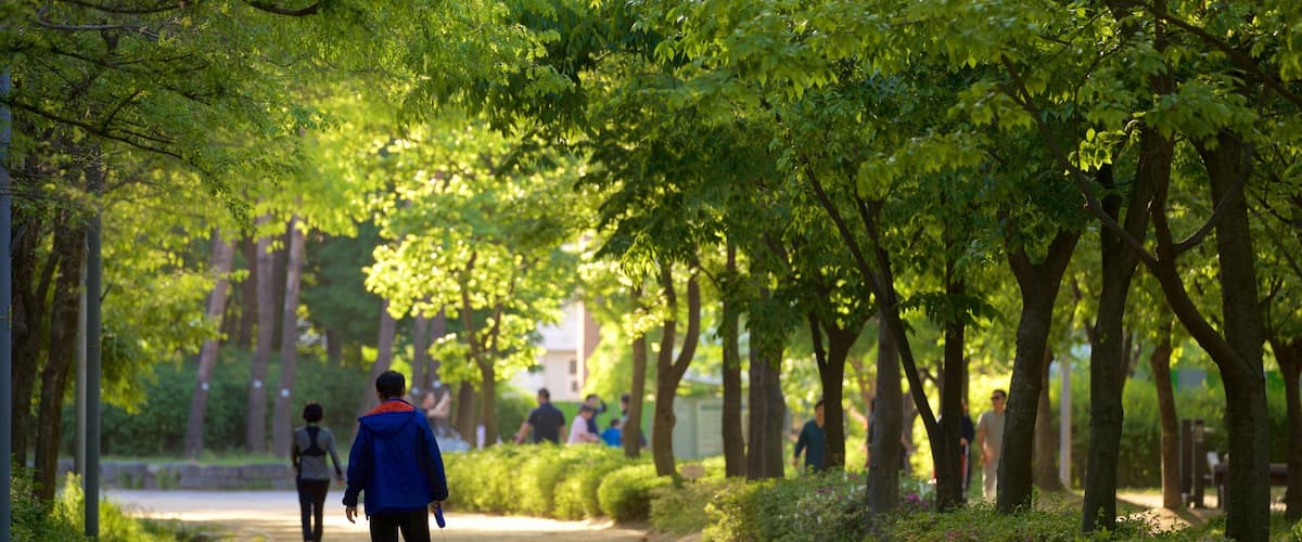 Seoul Forest showing cuddly or friendly animals, hiking or walking and a park