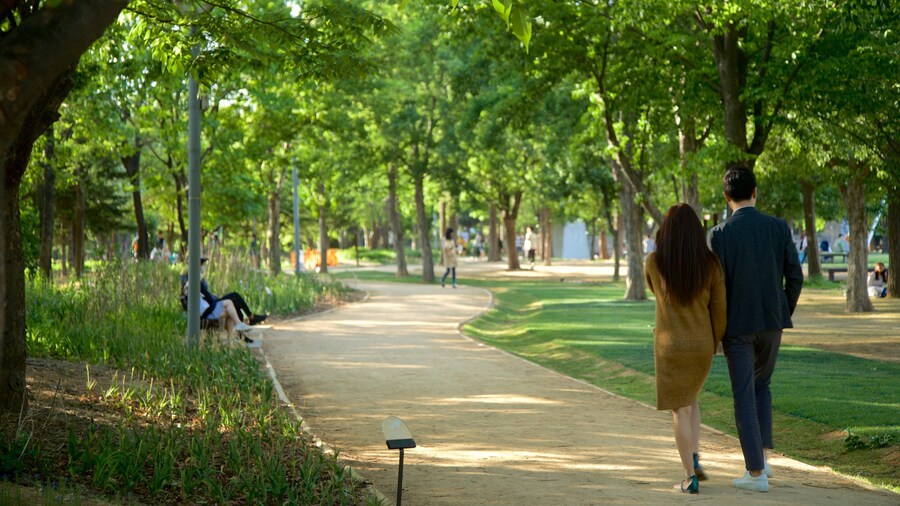 Seoul Forest featuring a garden as well as a couple