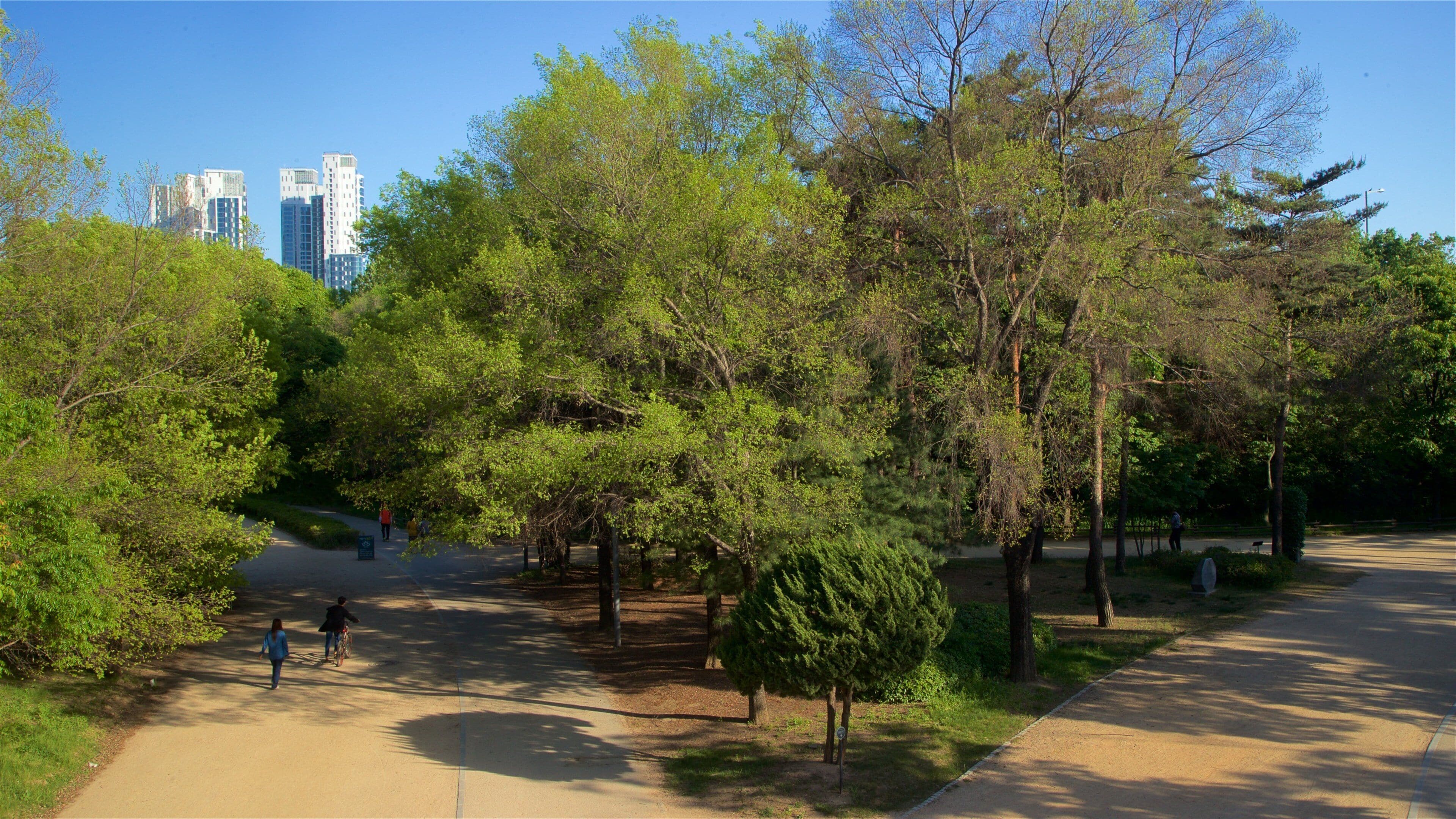Bosque de Seúl que incluye una ciudad y un parque