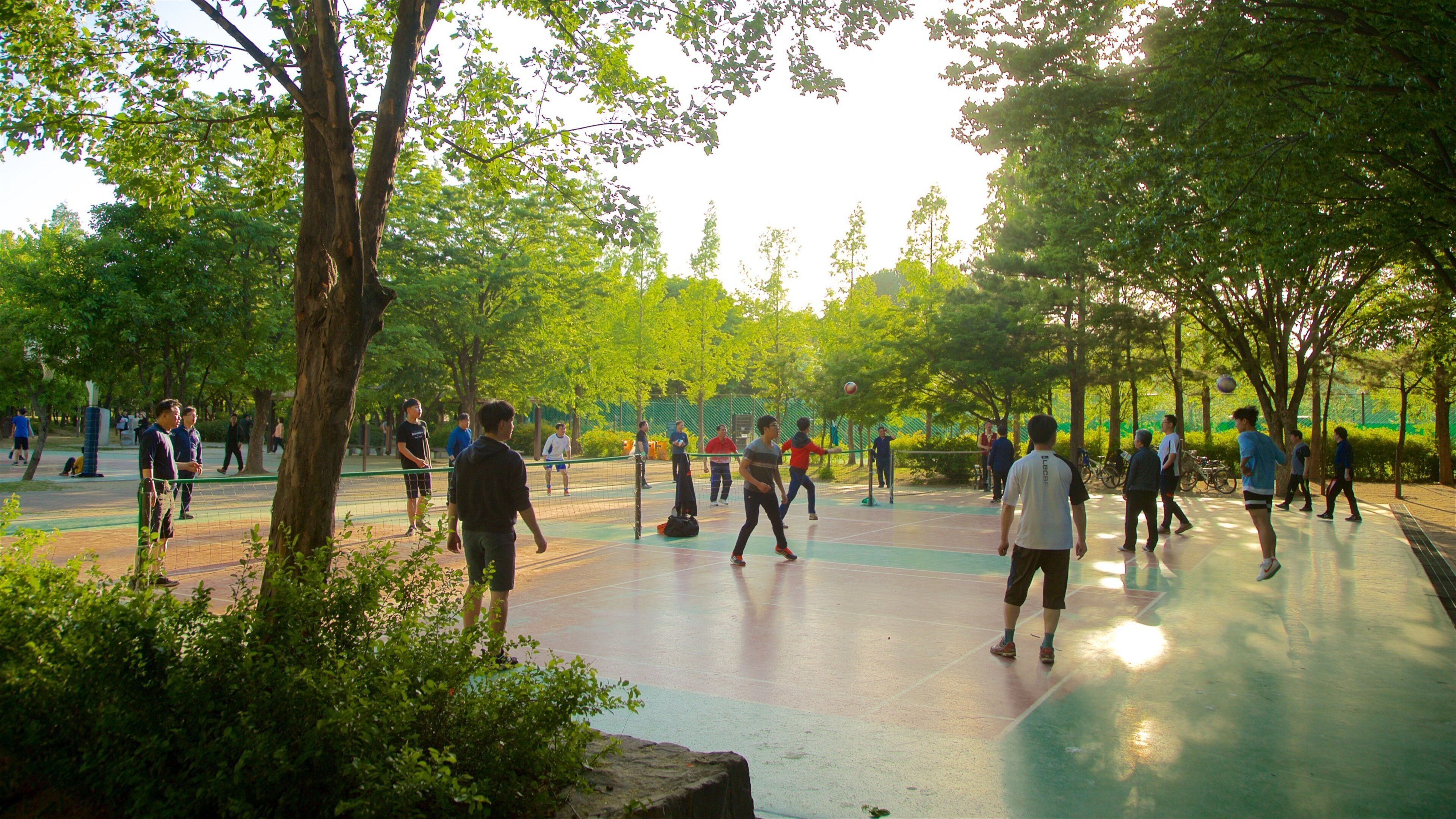 Seoul Forest showing a park as well as a small group of people