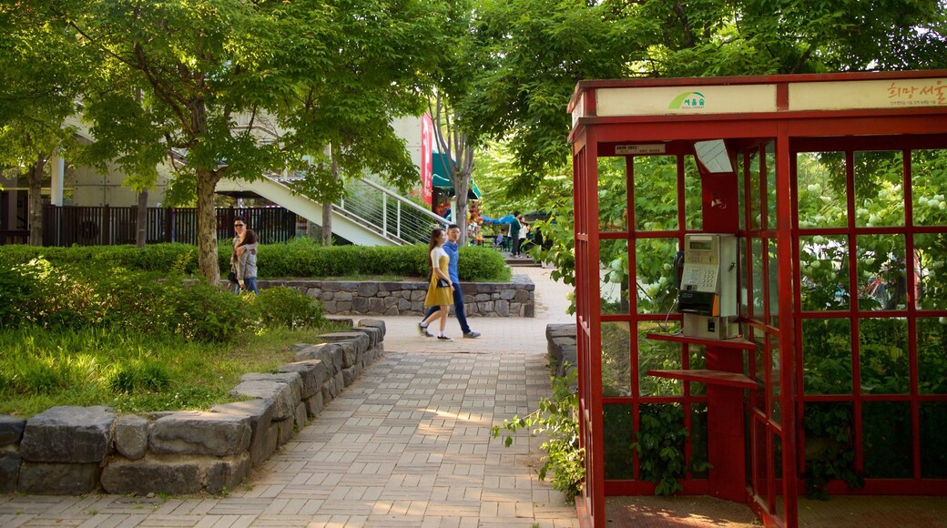 Seoul Forest featuring a park as well as a couple