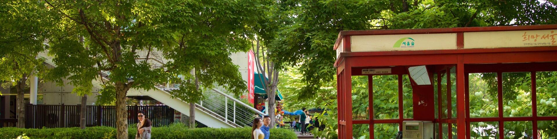 Fort de Séoul mettant en vedette parc aussi bien que couple