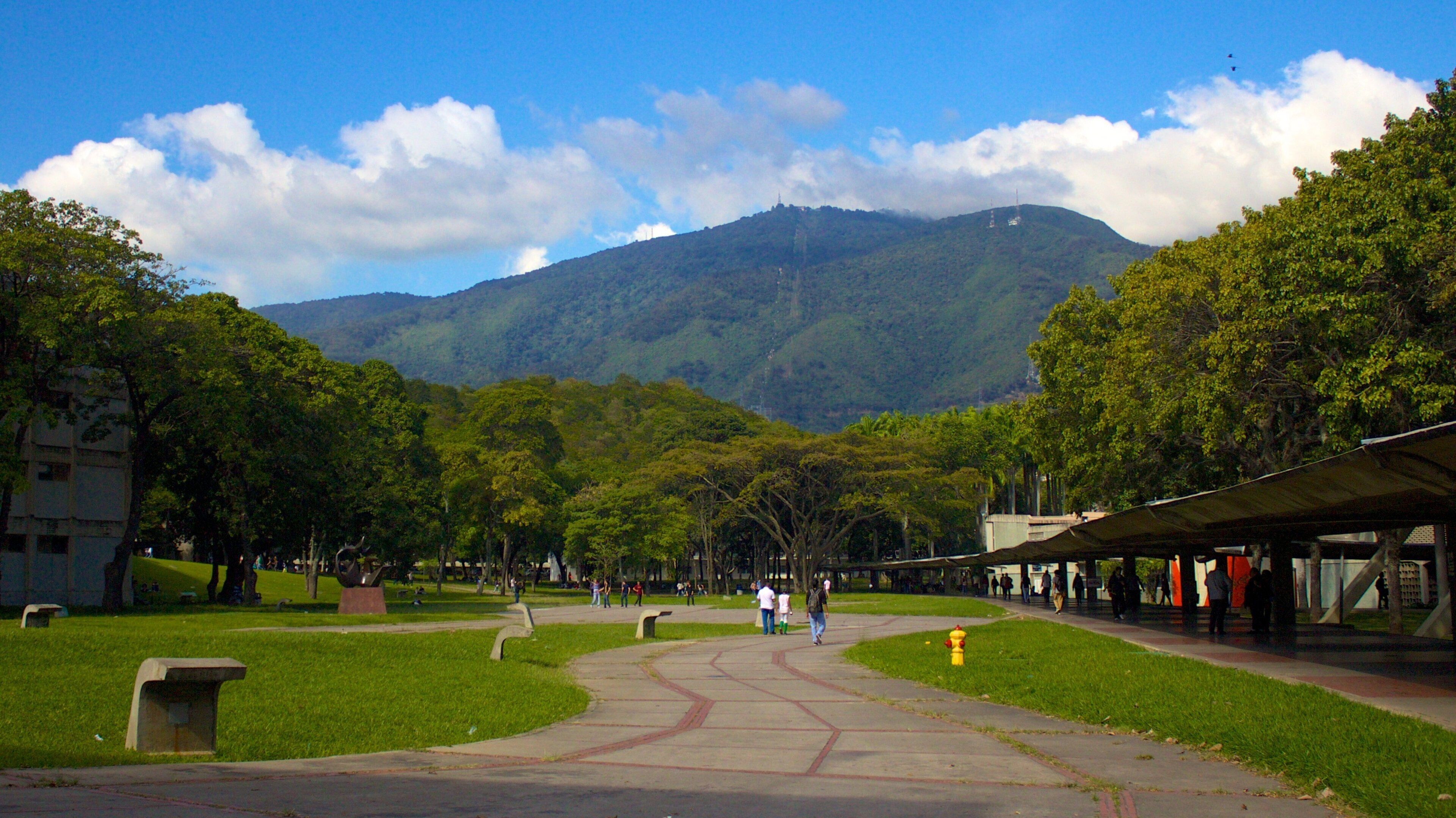 A park with a pathway leading to a mountain.