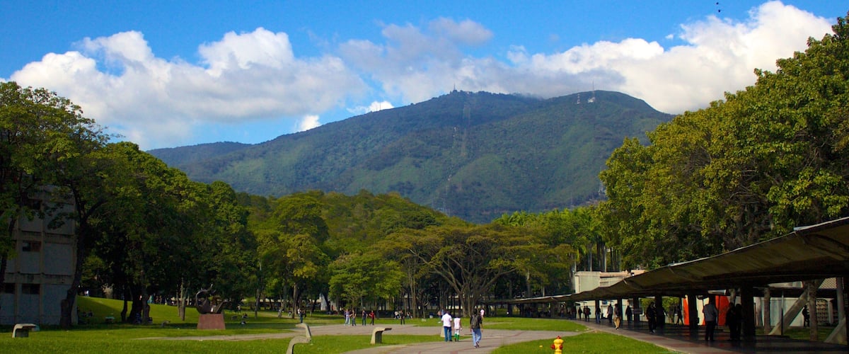A park with a pathway leading to a mountain.