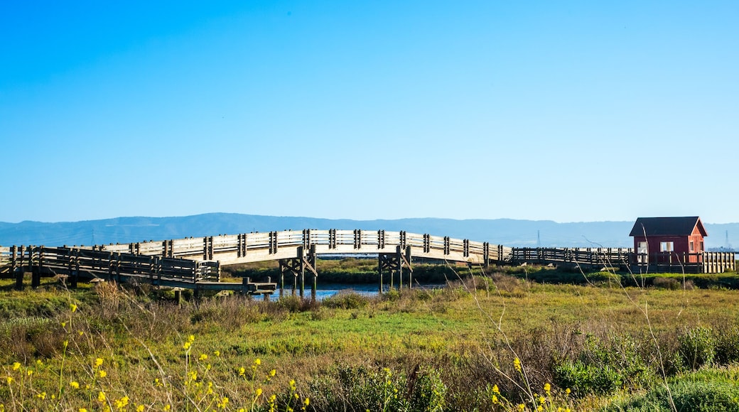 Hayward Regional Shoreline Park