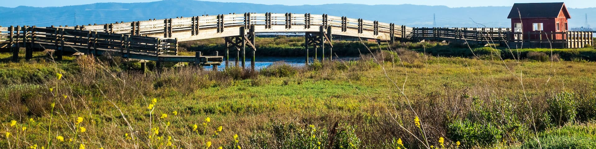 A Cottage / House by the San Francisco Bay