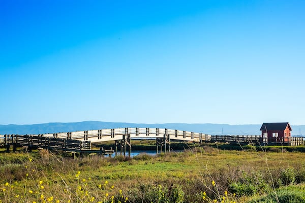 A Cottage / House by the San Francisco Bay
