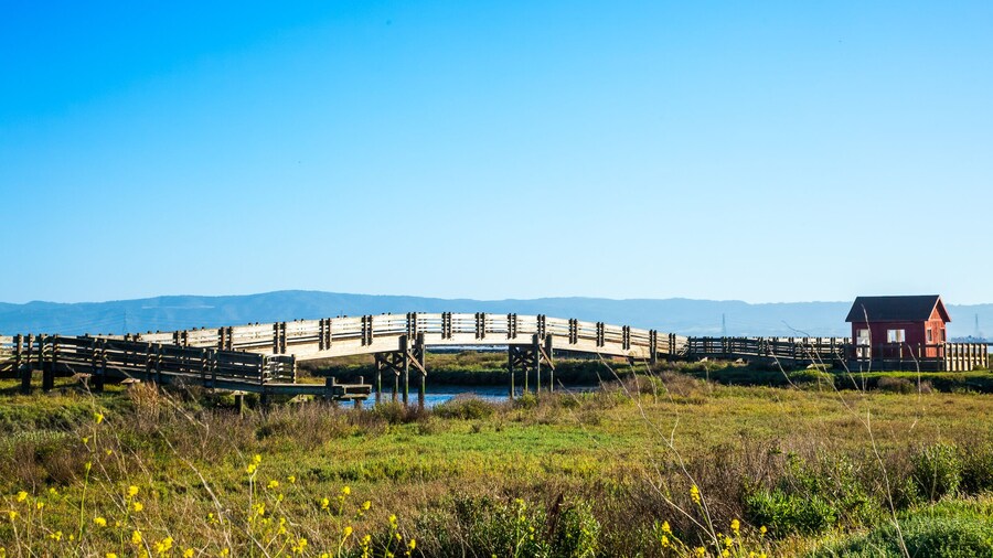 Hayward Regional Shoreline Park