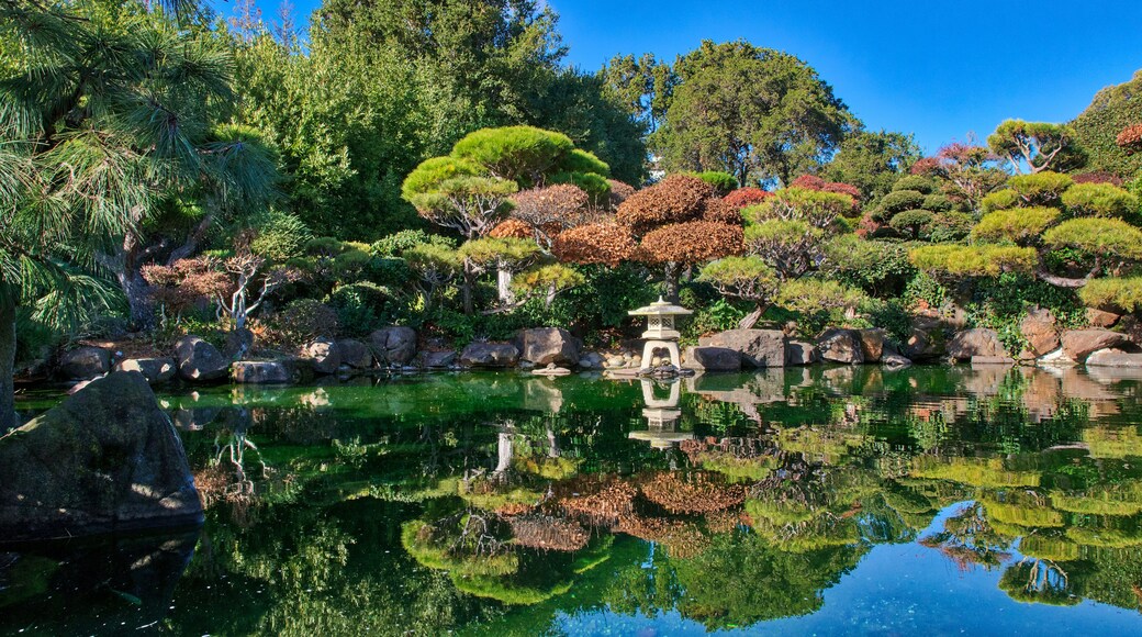 海沃德日式庭園