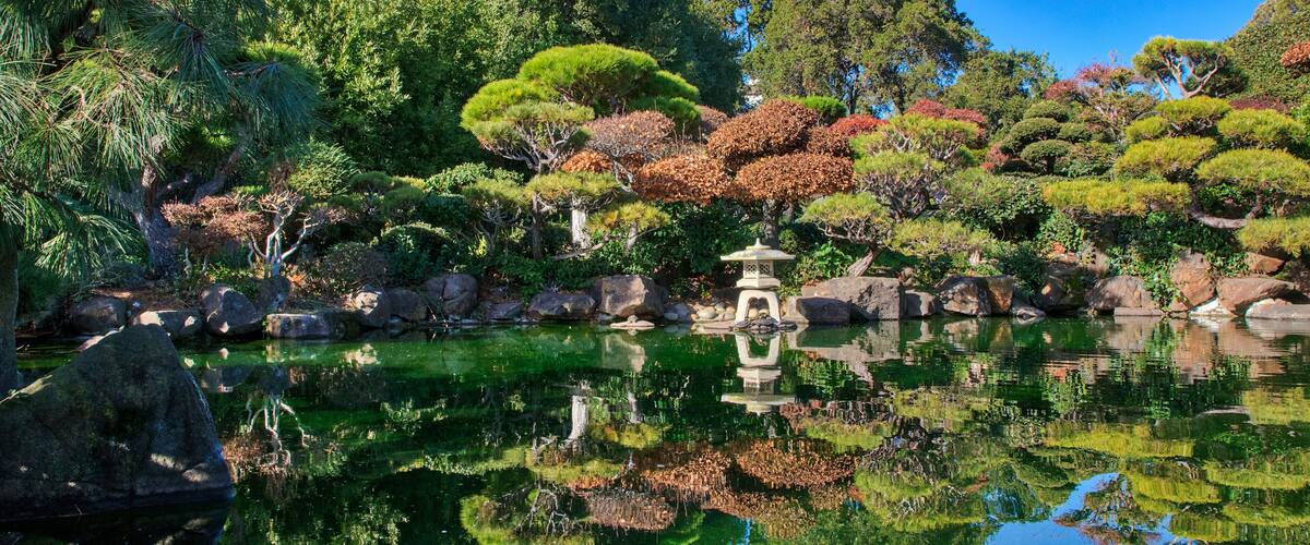 Japanese Garden Hayward