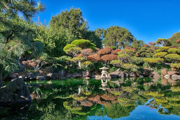 Japanese Garden Hayward