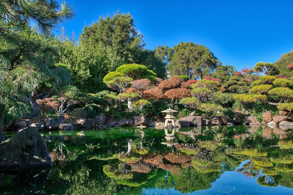 Un jardin paisible avec un étang, des rochers et divers arbres.