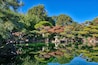 Japanese Garden Hayward