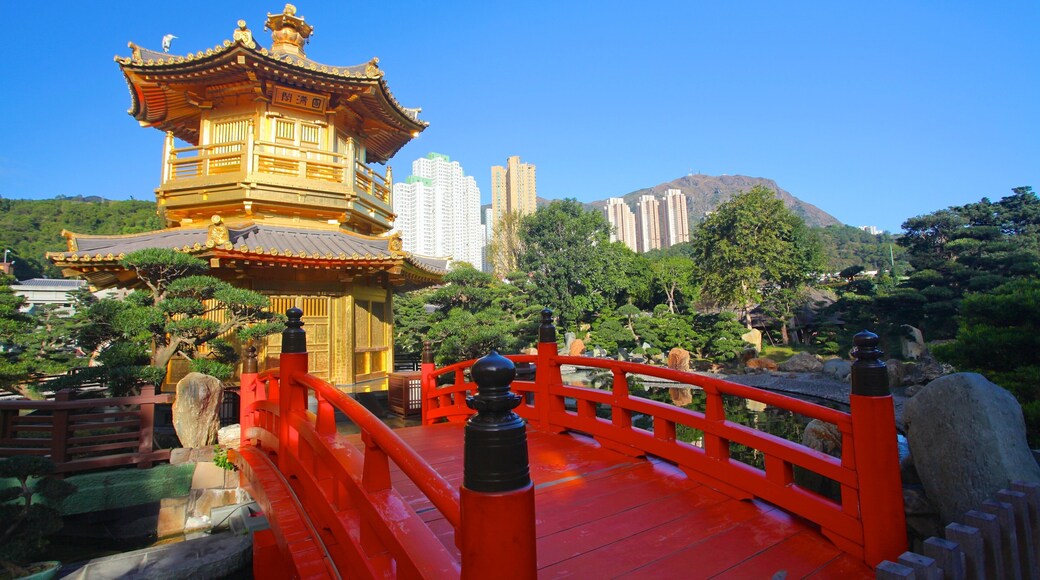 Nan Lian Garden showing skyline, a bridge and a garden
