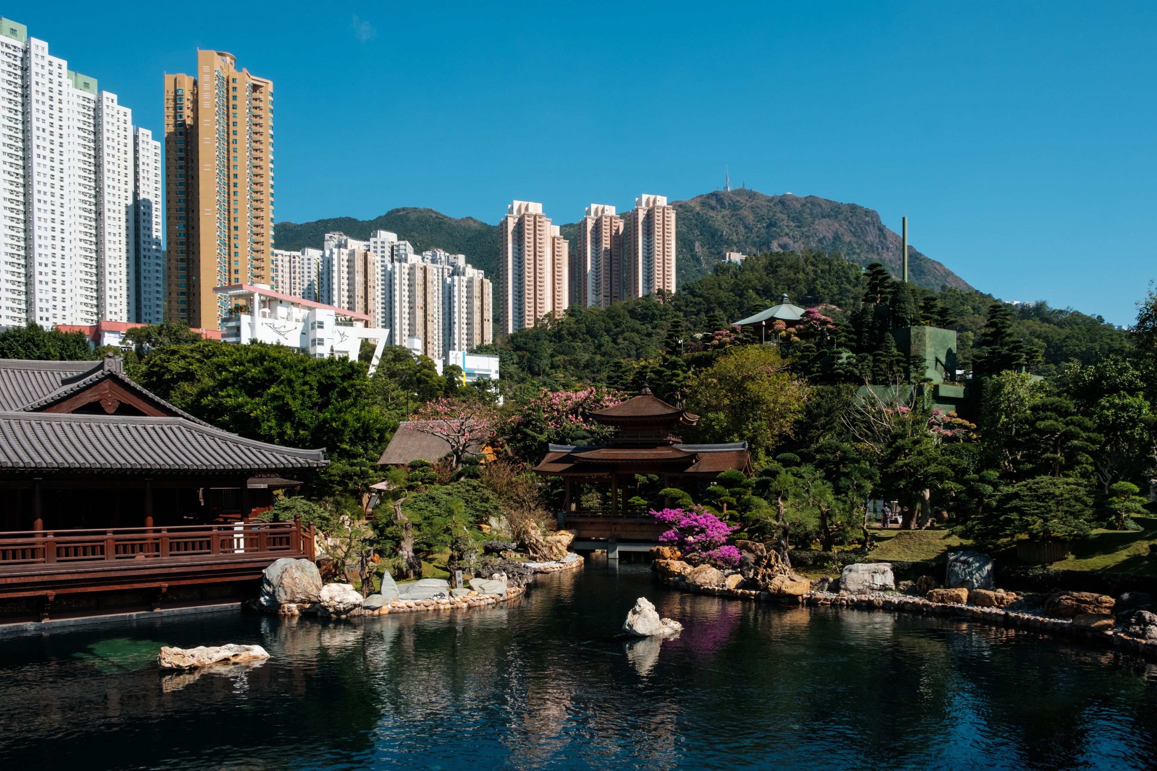 The Nan Lian Garden in Hong Kong