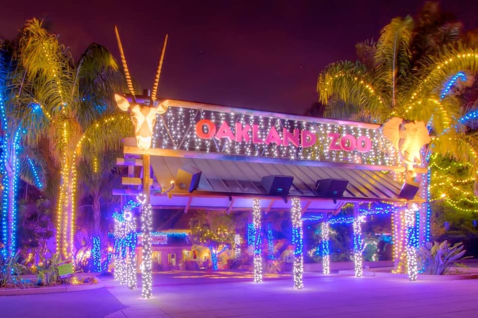 The Oakland Zoo entrance with illuminated trees and a sign.